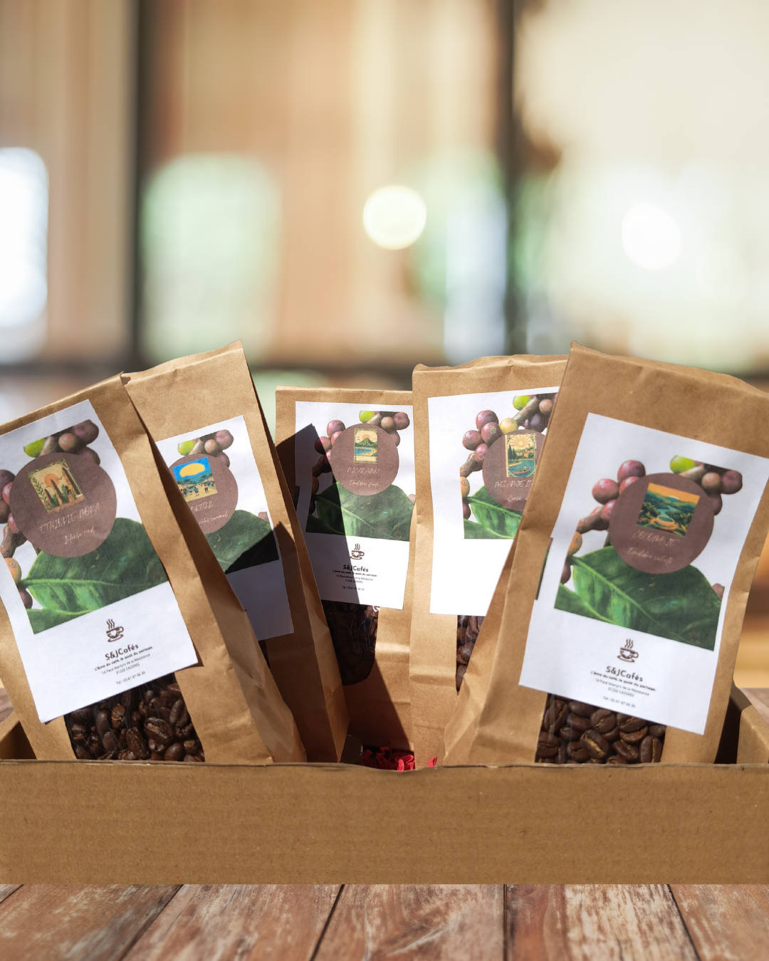 Coffret découverte "Le Voyage des Origines"