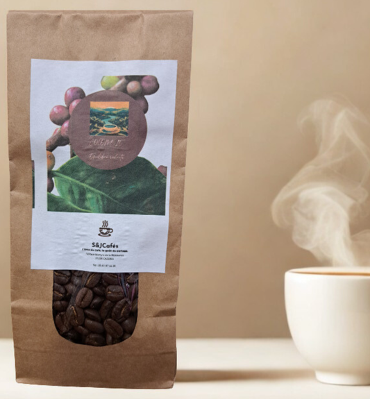 Coffret découverte "Le Voyage des Origines"